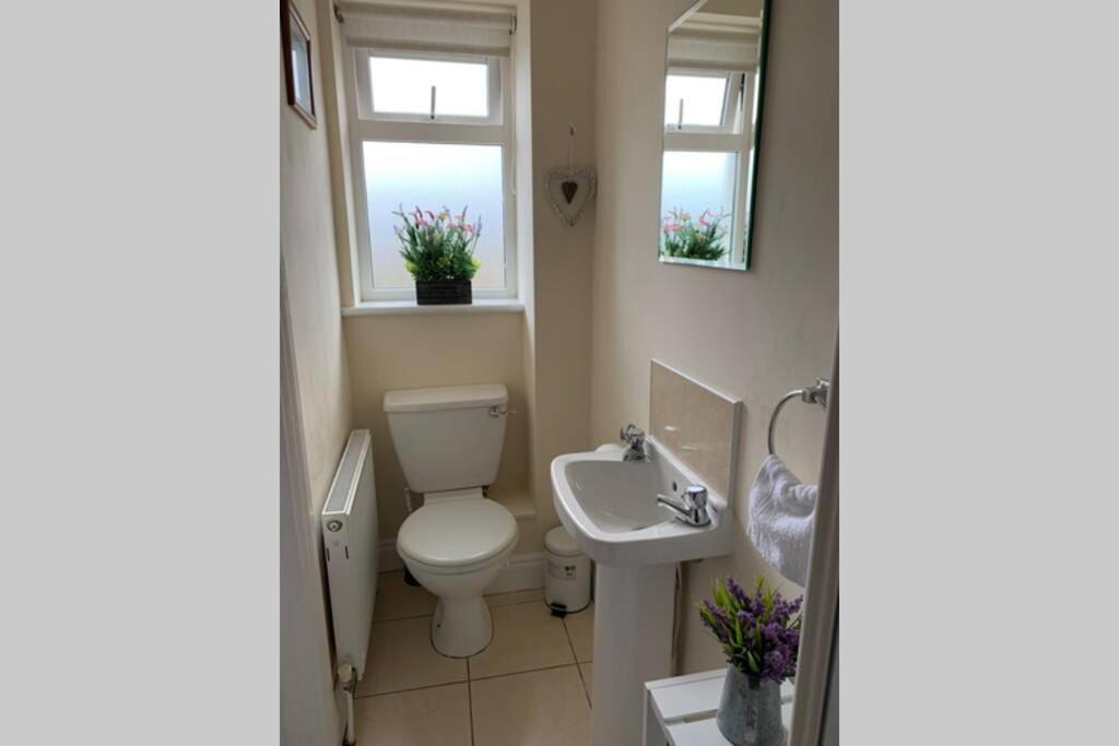Two Bedroom Town House Beside The River Barrow Carlow Extérieur photo