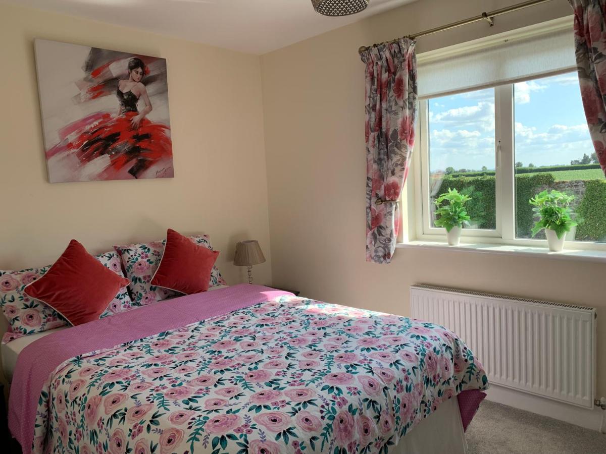 Two Bedroom Town House Beside The River Barrow Carlow Extérieur photo