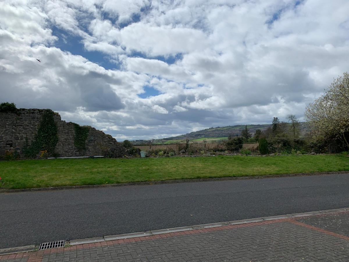 Two Bedroom Town House Beside The River Barrow Carlow Extérieur photo